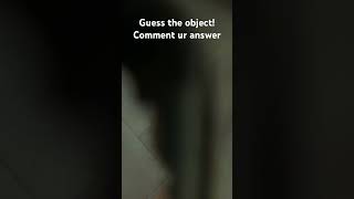Guess the object Part 2 #guess #guessinggame #fun #smart