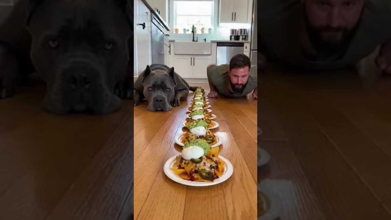 This Dog DESTROYED the Nacho Challenge 🤯🐶