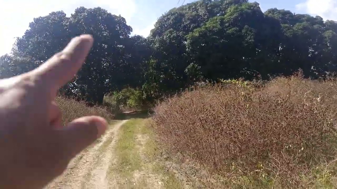 6 hectares Bamban Tarlac , Farm land , TCT Title , lot for sale