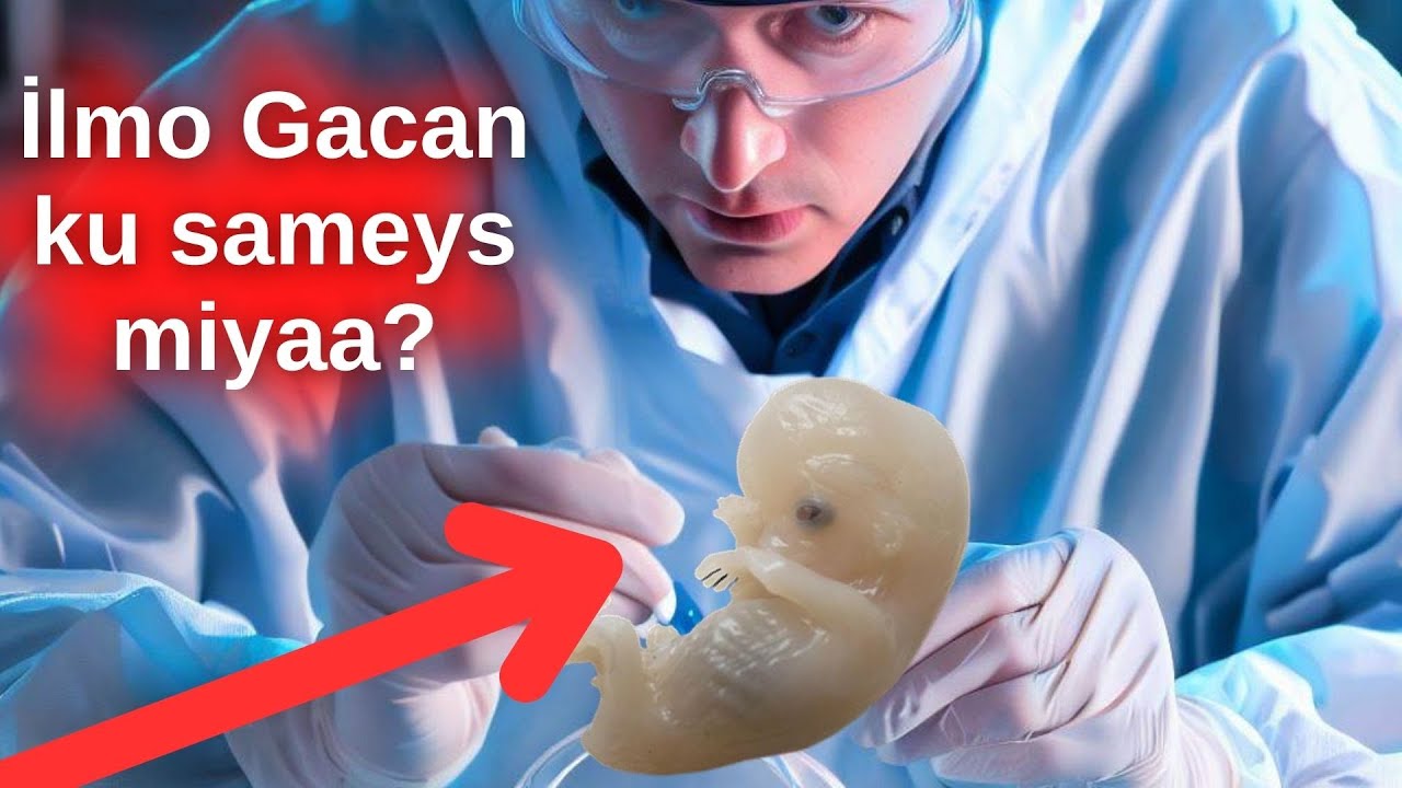 İSBUUCAAN MAXAA KA CUSUB DUNİDA SAYNİSKA?