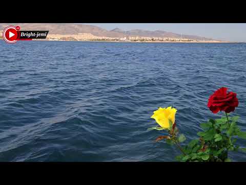 مع أجمل واحلى صوت عفريني موال رائع جدا بصوت مطرب رسول حسن له يارة