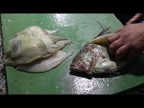 SATISFYING FISH FILLETING VIDEO JOHN DORY