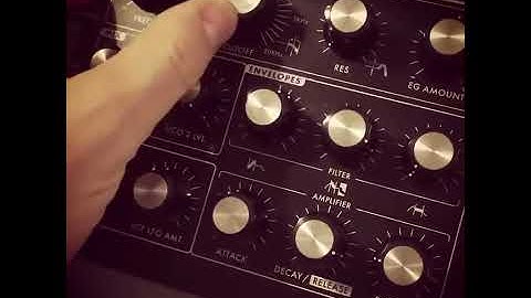 Moog minitaur & Mfb tanzmaus