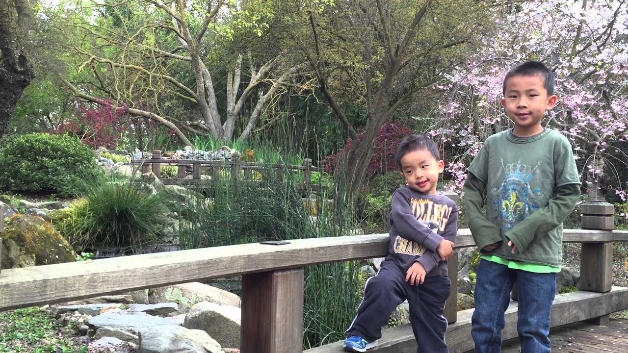 Shinzen Japanese Friendship Garden In Woodward Park Fresno Bonus