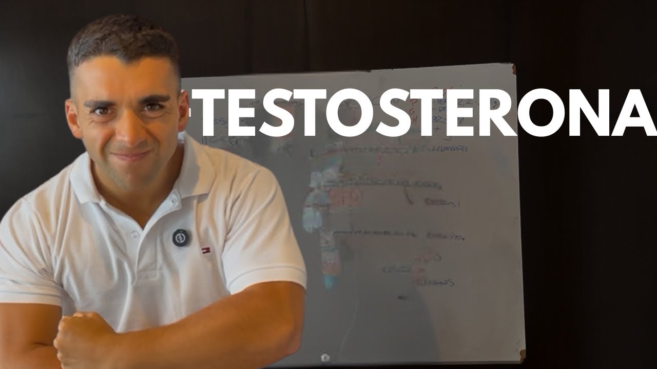 La Dieta Perfecta Para Aumentar Tu Testosterona En Tiempo Récord