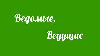 Ведомые, ведущие.