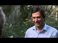 Max Tegmark - Do Multiple Universes Surely Exist?