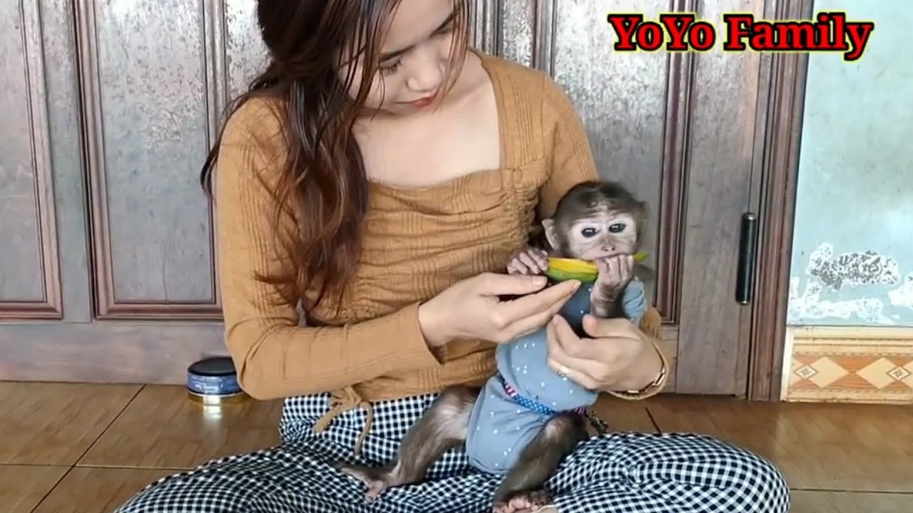 Mom is happy to have Monkey YoYo JR  