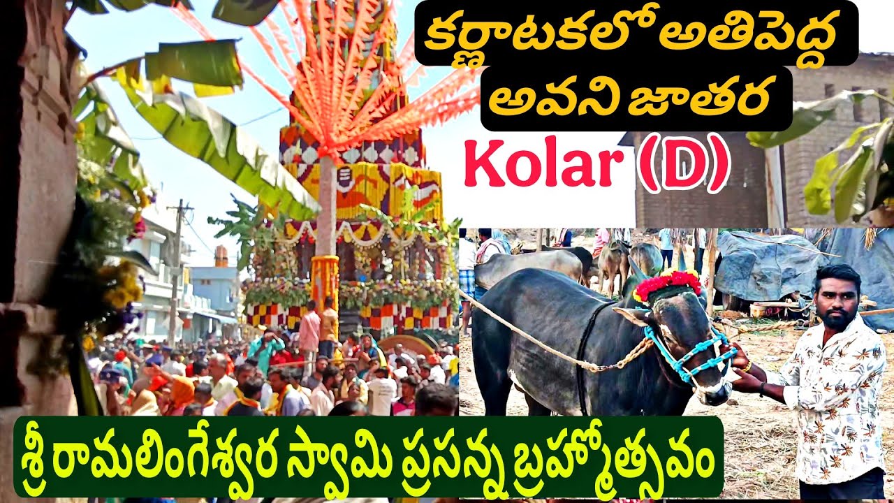 February 19, 2026 sri ramalingeshwara swamy Prasanna Avani Bramharatovam2026 kolar (D)