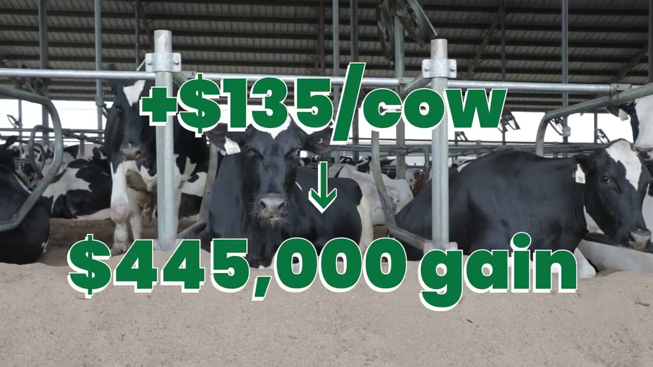 HerdHQCaseStudy: Too Much Data, No Clear Signal