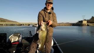 The all NEW Spotlight Minnow!
