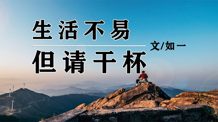 《生活不易，但请干杯》作者如一