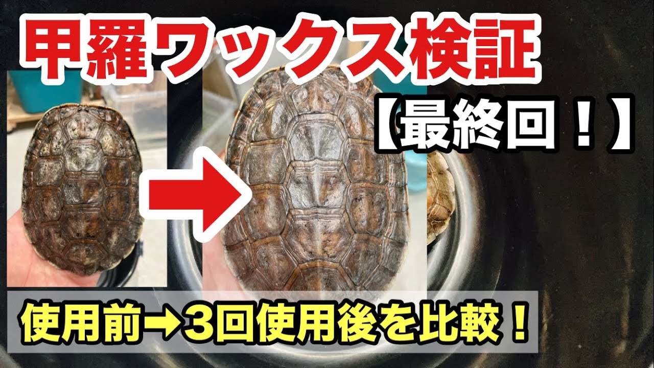 Verification ③] A clear comparison of before and after use of