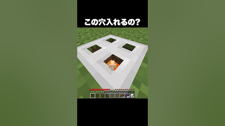 これは入れる？ #shorts #マインクラフト #マイクラ