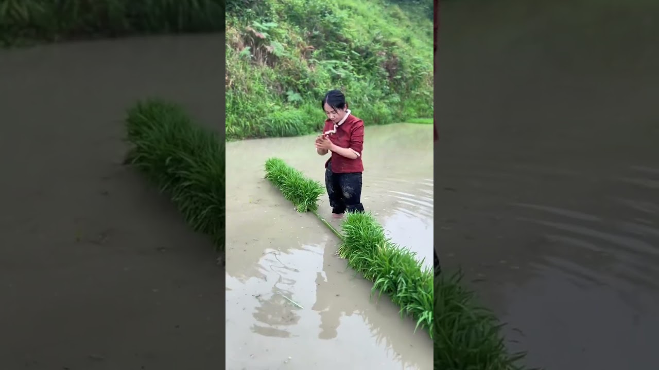 Carrying Life's Burden, Finding Strength in Your Heart