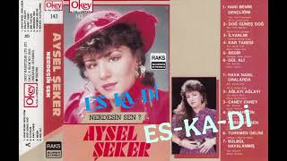Aysel Şeker 1991 Bülbül Havalanmış