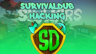 Survivaldub hacking ft rise infinite fast bow | hhhdusi