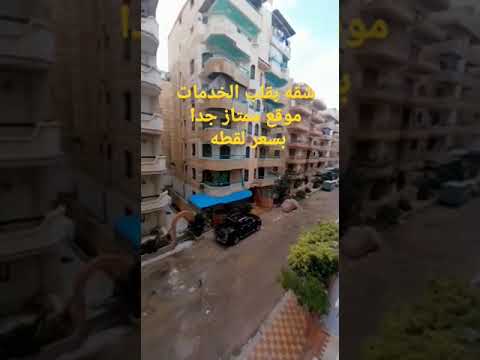 شقه بسعر لقطه بشاطئ النخيل اسكندريه الكيلو 21