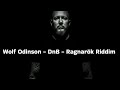 Wolf Odinson - DnB - Ragnarök Riddim