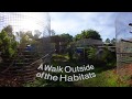 A 360 tour of jungle friends primate sanctuary