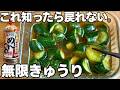 漬物はもう、買わない。ご飯が止まらない無限きゅうり