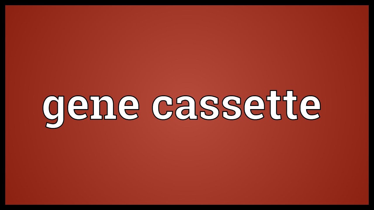 Gene Cassette Meaning YouTube Gene Cassette Meaning YouTube