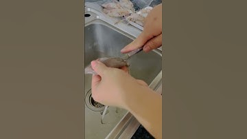 Cách sơ chế mực trứng trước khi nấu