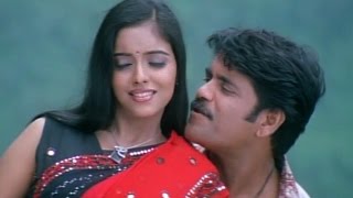 Shivamani Telugu Movie || Sun Sun Video Song || Nagarjuna, Asin