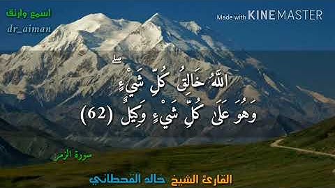 قُلْ أَفَغَيْرَ اللَّهِ تَأْمُرُونِّي أَعْبُدُ أَيُّهَا الْجَاهِلُونَ (تلاوة رائعة)
