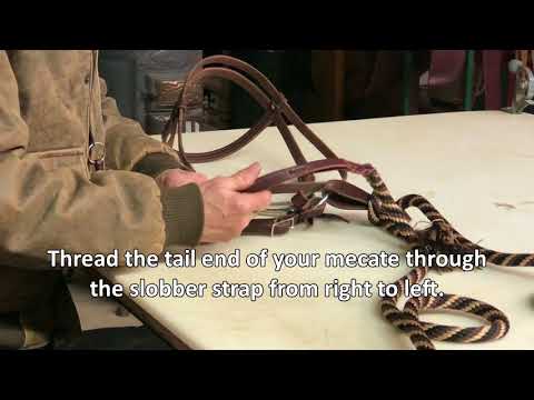 See How to Attach Slobber Straps to Your Mecate