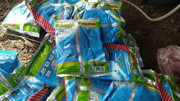 Chỉ 11k gói. Xử lý tảo đỏ, tảo xanh, nước đen, ao nước cứng đầu siêu nhanh.