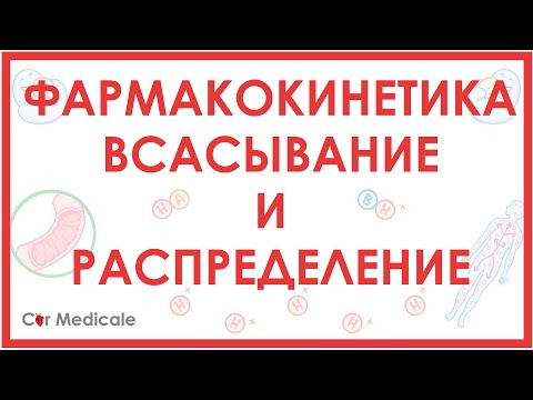 Видео: Как определяется биодоступность витаминов?