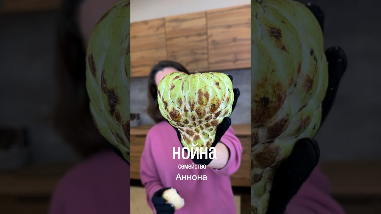 Экзотическая нойна. 