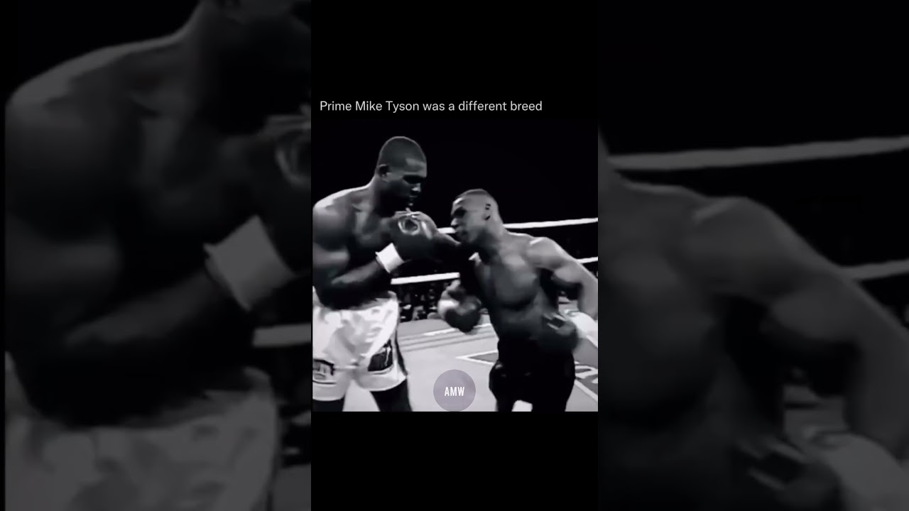 Everyone has a plan 'till they get punch in the mouth | AMW | 