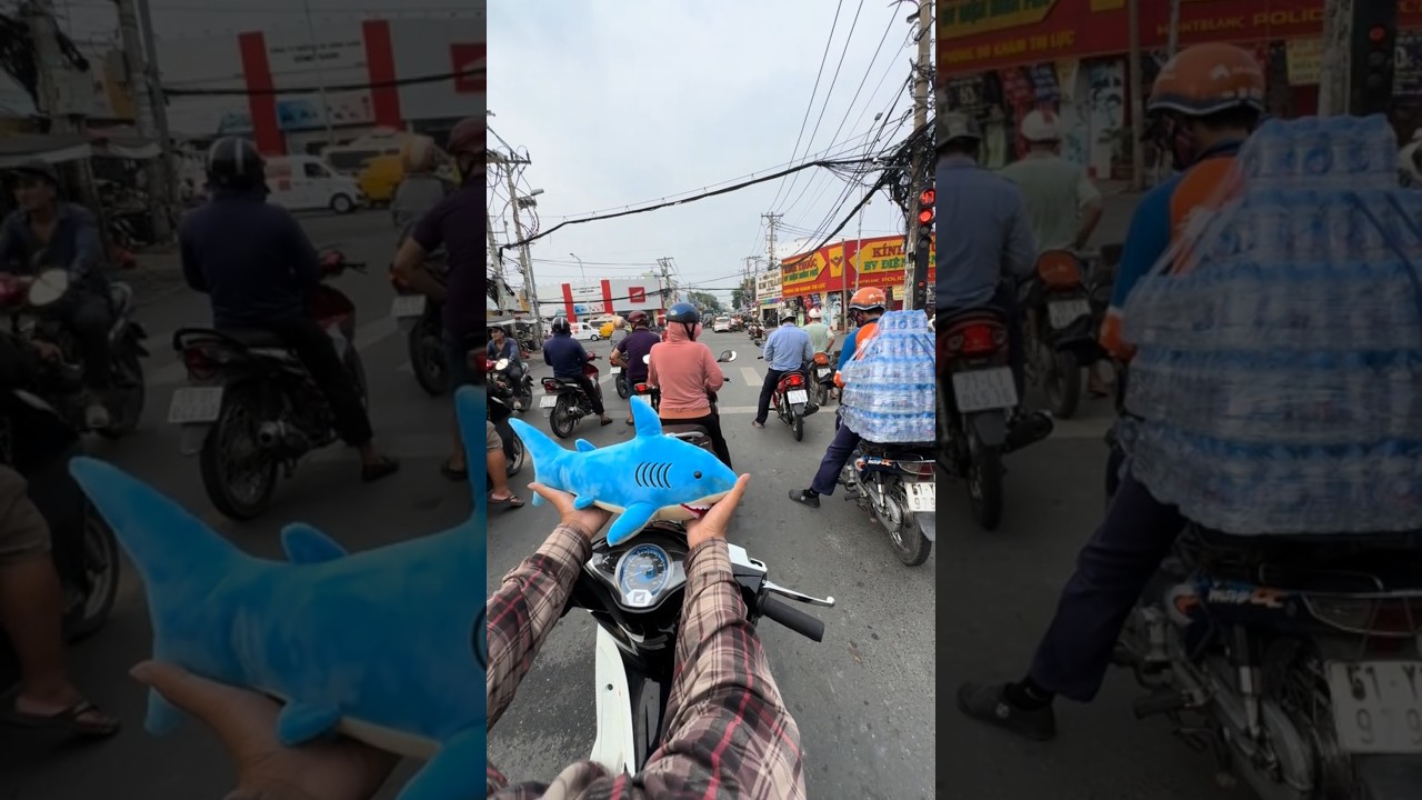 Thỉnh ông thần cá mập về chơi 