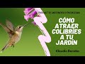 Cómo ATRAER HERMOSOS COLIBRÍES a tu jardín