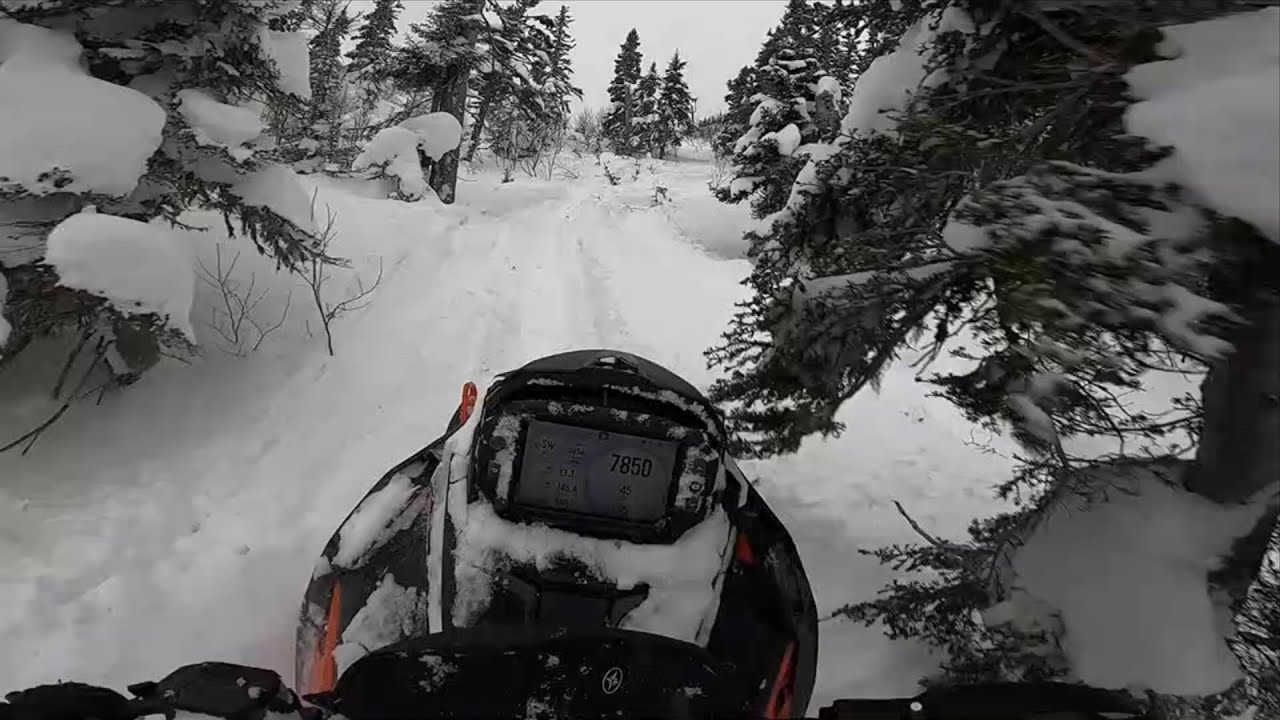 Tarps off on the Trail! YouTube