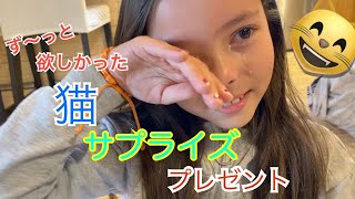 【サプライズ】ずーっと欲しかった猫をサプライズプレゼント‼️子供達の反応は⁉︎【Vlog】  Canada life