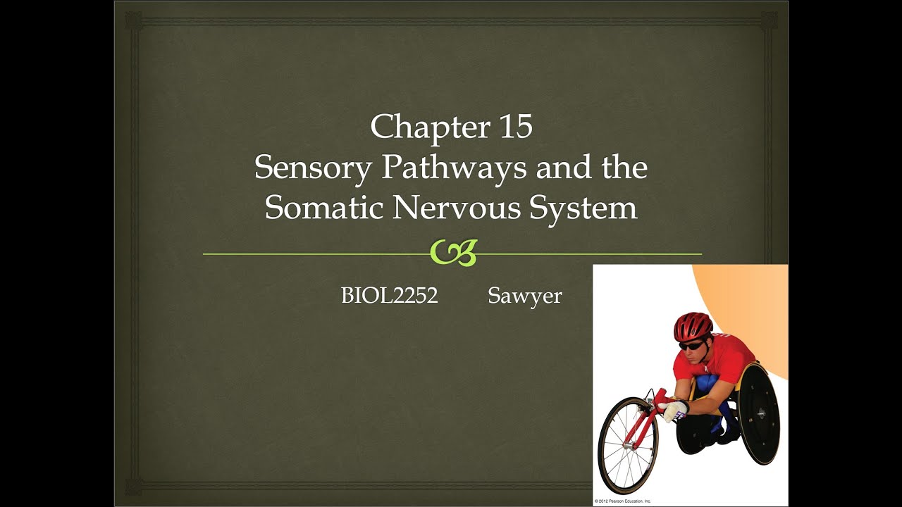 Chapter 15 Activity - YouTube