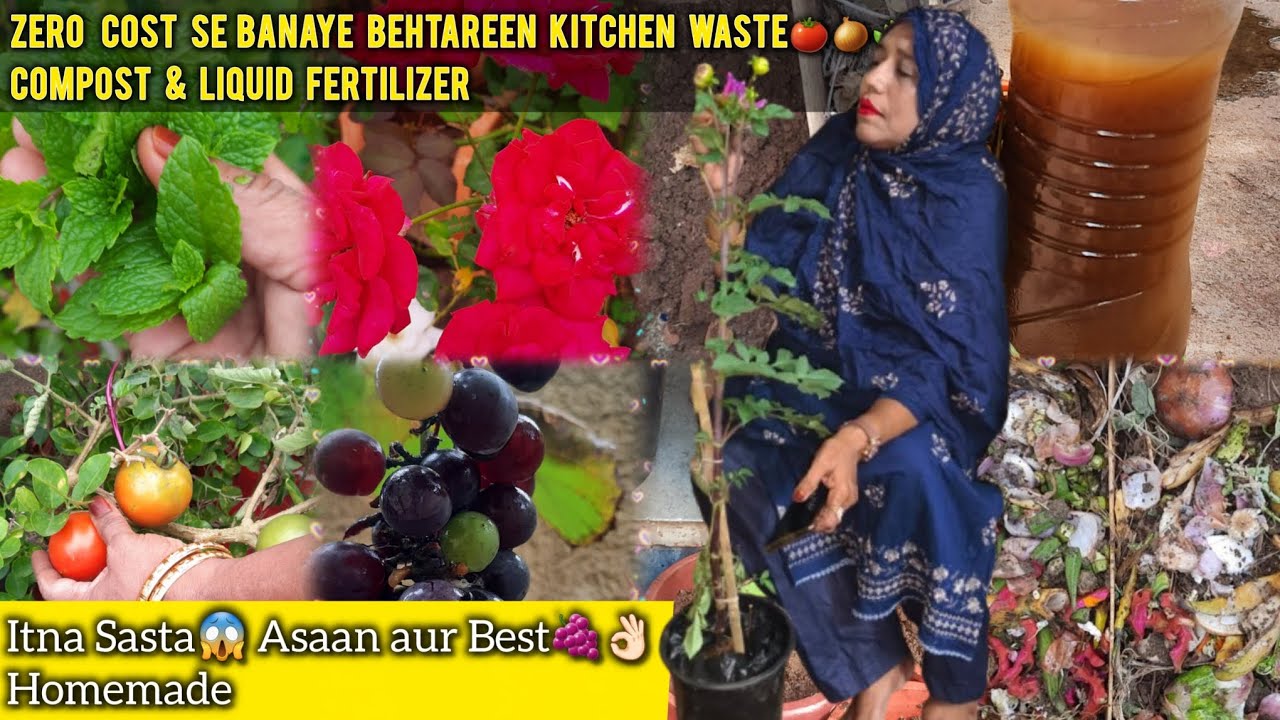 No cost | behtareen kitchen waste compost| liquid fertilizer