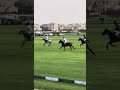 Polo in Dubai