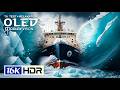 Jaw-Dropping 16K Video ULTRA HD | Nature OLED Dolby Vision 120FPS (8K/4K Video TV)