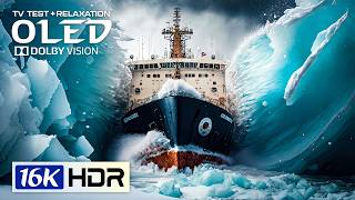 Jaw-Dropping 16K Video ULTRA HD | Nature OLED Dolby Vision 120FPS (8K/4K Video TV)