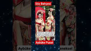 Aybüke Pusat #guitar #music #guitarcover #cover #guitarsolo #nostalji #askbuyusu #film #duygularim