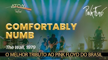 𝗔𝗧𝗢𝗠 𝘗𝘪𝘯𝘬 𝘍𝘭𝘰𝘺𝘥 🌈⃤-  𝙲𝙾𝙼𝙵𝙾𝚁𝚃𝙰𝙱𝙻𝚈 𝙽𝚄𝙼𝙱 - 𝚃𝚑𝚎 𝚆𝚊𝚕𝚕 - 𝟷𝟿𝟽𝟿