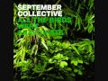 September collective  meer