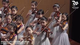 Wolfgang Young Artistes Orchestra Palladio Concerto Grosso for String Orchestra