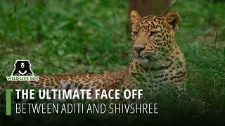 The Ultimate Face Off Between Aditi And Shivshree
