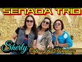 Sherly  cover by senada trio  cipt  jack marpaung hangganeriksonchannel8093