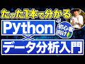 【初心者向け】Python×データ分析の教科書【入門レベルの基礎を徹底解説】